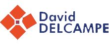 Le logo de David Delcampe, expert en collections et antiquités, symbole de qualité et de passion pour les objets rares.